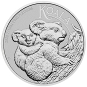 Koala 1/10 oz Platin 2023 - Motivseite der attraktiven Münze der Perth Mint