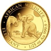Somalia Elefant 1/25 oz Gold 2024 - Motivseite