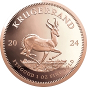 Krügerrand 1 oz Gold 2024 - Die Motivseite des Krügerrands in Gold zeigt den südafrikanischen Politiker Paul Kruger