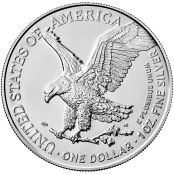 American Silver Eagle 1 oz - Auf der Vorderseite der Silver Eagles ist die Walking Liberty (Schreitende Freiheitsgöttin) abgebildet.