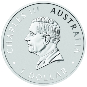 Koala 1 oz Silber 2024 - Auf der Wertseite ist traditionell Elizabeth II abgebildet